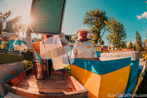 Image of Beekeepers checking honey on the beehive frame in the field. Small business owners on apiary. Natural healthy food produceris working with bees and beehives on the apiary.