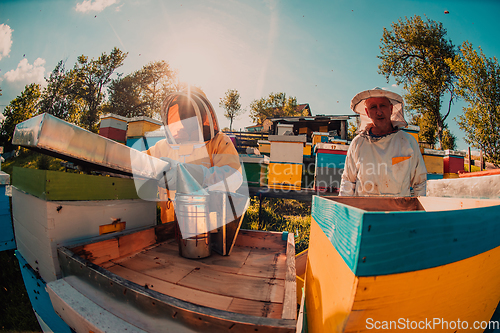 Image of Beekeepers checking honey on the beehive frame in the field. Small business owners on apiary. Natural healthy food produceris working with bees and beehives on the apiary.