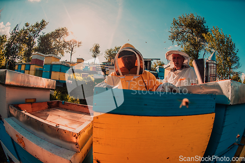 Image of Beekeepers checking honey on the beehive frame in the field. Small business owners on apiary. Natural healthy food produceris working with bees and beehives on the apiary.