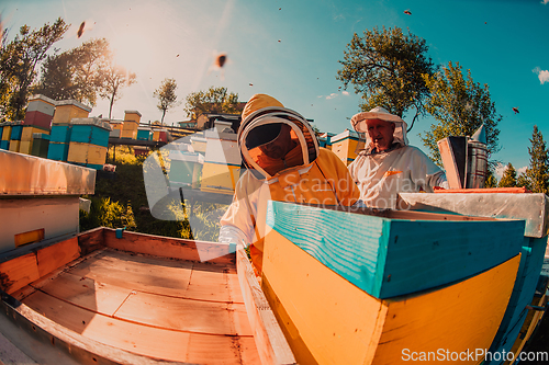 Image of Beekeepers checking honey on the beehive frame in the field. Small business owners on apiary. Natural healthy food produceris working with bees and beehives on the apiary.