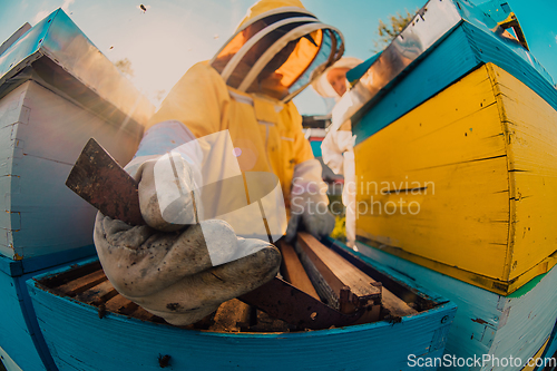 Image of Beekeeper checking honey on the beehive frame in the field. Small business owner on apiary. Natural healthy food produceris working with bees and beehives on the apiary.