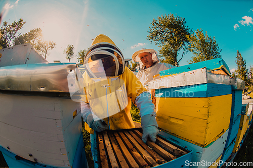 Image of Beekeepers checking honey on the beehive frame in the field. Small business owners on apiary. Natural healthy food produceris working with bees and beehives on the apiary.