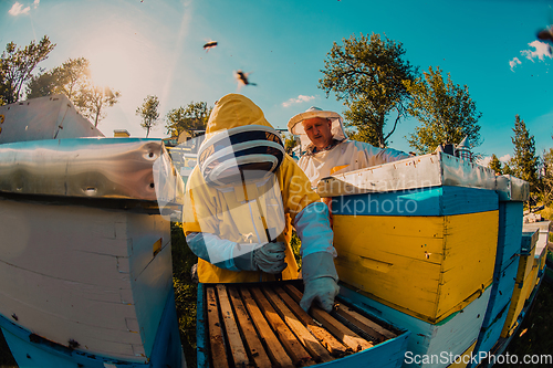 Image of Beekeepers checking honey on the beehive frame in the field. Small business owners on apiary. Natural healthy food produceris working with bees and beehives on the apiary.