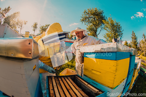 Image of Beekeepers checking honey on the beehive frame in the field. Small business owners on apiary. Natural healthy food produceris working with bees and beehives on the apiary.