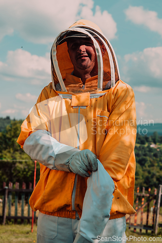 Image of Beekeeper put on a protective beekeeping suit and preparing to enter the apiary