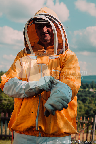 Image of Beekeeper put on a protective beekeeping suit and preparing to enter the apiary