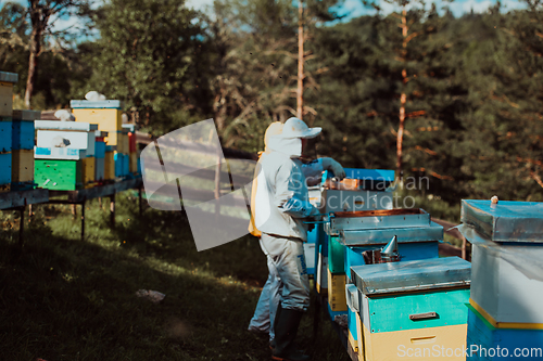 Image of Beekeepers check the honey on the hive frame in the field. Beekeepers check honey quality and honey parasites. A beekeeper works with bees and beehives in an apiary.