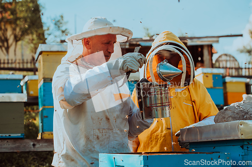 Image of Beekeepers checking honey on the beehive frame in the field. Small business owners on apiary. Natural healthy food produceris working with bees and beehives on the apiary.