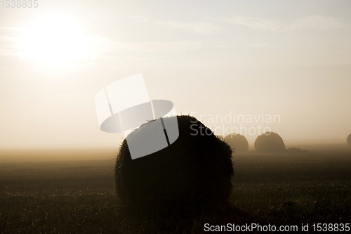 Image of beautiful sunrise in the agricultural field