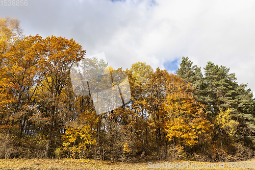 Image of autumn season