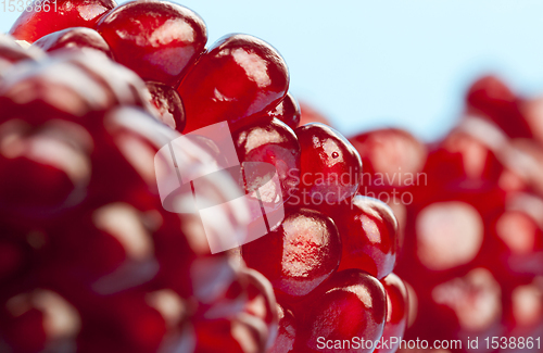 Image of red juicy pomegranate