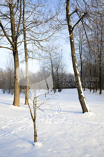 Image of white fresh snow