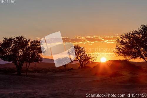 Image of sunrise landscape Hidden Vlei in Namibia, Africa