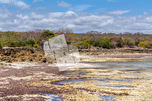 Image of rocky beach in Madagascar, Antsiranana, Diego Suarez