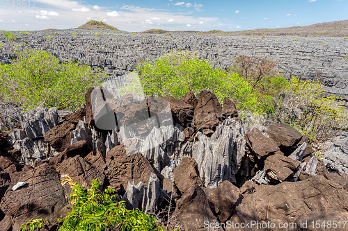 Image of Ankarana Tsingy stones, northern Madagascar landmark