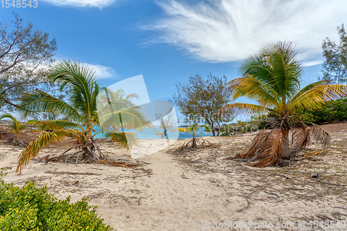 Image of sand beach in Madagascar, Antsiranana, Diego Suarez