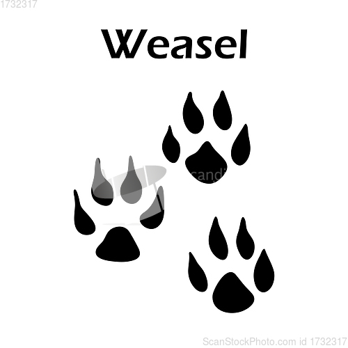 Image of Weasel Footprint
