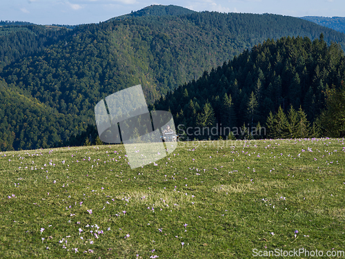 Image of A man driving a quad ATV motorcycle through beautiful meadow landscapes