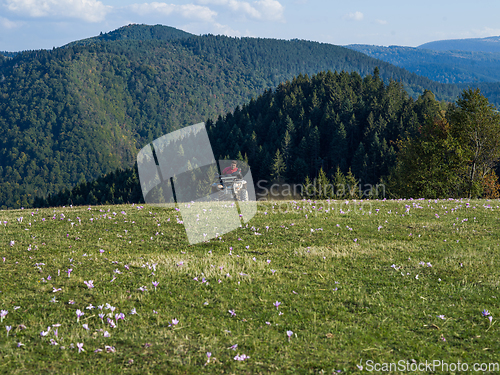 Image of A man driving a quad ATV motorcycle through beautiful meadow landscapes