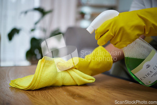 Image of Person, hands and cloth with detergent for cleaning table, housekeeping or germ and bacteria at home. Closeup of maid, cleaner or housekeeper with gloves and spray on furniture desk for clean hygiene