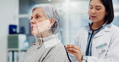 Image of Senior woman, doctor and stethoscope for breathing on back to listen for lung problem. Elderly, medical professional and person with cardiology tools for exam, consultation or healthcare in hospital