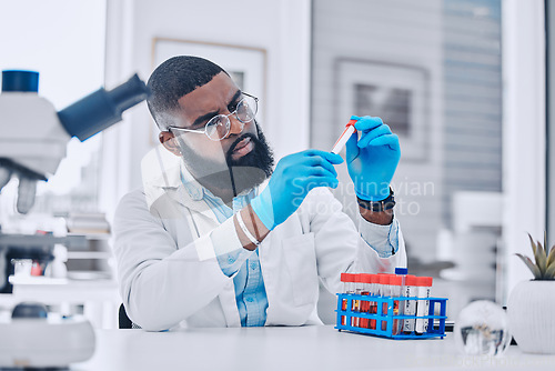 Image of Sample analysis, research and a scientist with blood for science or pharmaceutical healthcare in a lab. Focus, doctor or a black man with a dna vial for virus test, technician work or expert check
