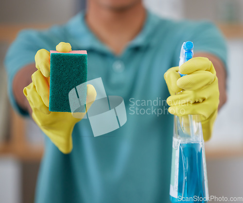 Image of Hands, sponge and spray for cleaning of a home, gloves for safety and detergent bottle. Closeup, showing and a cleaner or person with product for apartment maintenance or house service as a job