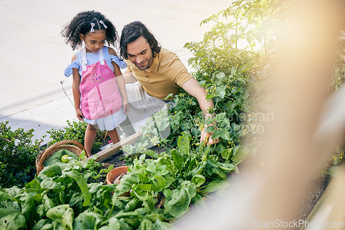 Image of Garden, plant leaf and family child with father teaching kid gardening process, nature care or agriculture. Top view, eco friendly support and learning girl, helping father or green people bonding