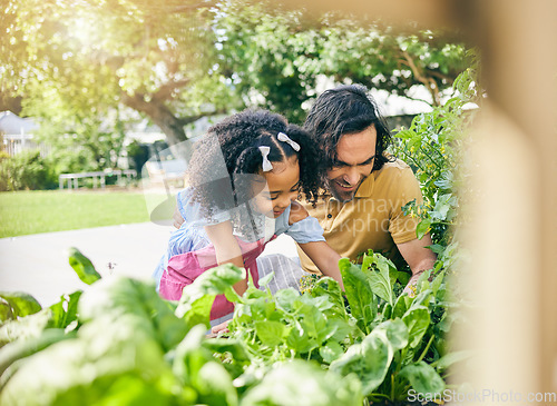 Image of Garden, nature and happy family child, father and plant tree seeds, flowers or agriculture in backyard. Happiness, outdoor sustainability and learning kid, father or parent teaching girl gardening