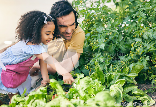 Image of Gardening, dad and child in backyard with plants, teaching and learning with growth and nature. Small farm, sustainable food and father helping daughter in vegetable garden with love, support and fun