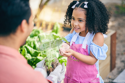 Image of Gardening, help and dad with child in backyard with plants, teaching and learning with growth in nature. Small farm, sustainability and father with girl in vegetable garden with love, support and fun