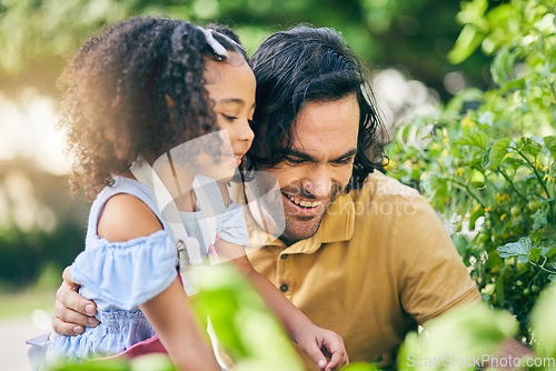 Image of Gardening, dad and child smile with plants, teaching and learning with growth in nature together. Backyard, sustainability and father helping daughter in vegetable garden with love, support and fun.