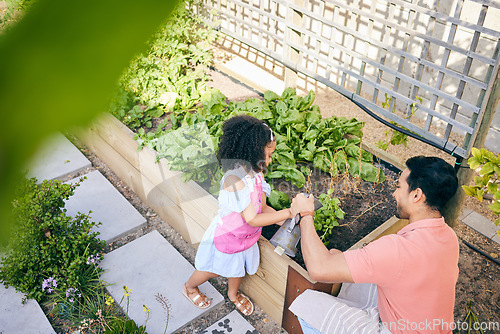 Image of Gardening, dad and child watering plants, teaching and learning with growth in nature from above. Support, sustainability and father helping daughter water vegetable garden with love, support and fun