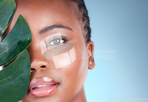 Image of Beauty portrait, studio leaf and black woman with natural wellness, organic skincare or and sustainable facial makeup. Eco friendly makeup, tropical plant and African person face on blue background