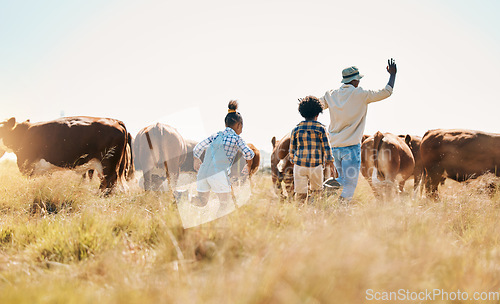 Image of Animal, father and children on family farm outdoor with cattle, sustainability and livestock. Behind African man and kids walking on a field for farmer adventure or holiday in countryside with cows
