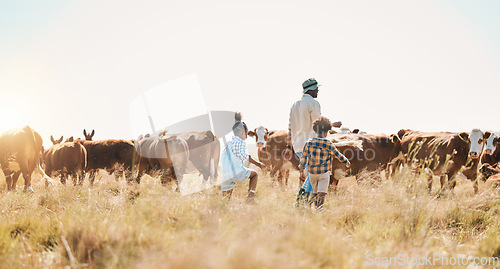 Image of Cattle, children and father on family farm outdoor for livestock, sustainability or travel. Black man and kids walking on a field for farmer adventure or holiday in countryside with cows in African