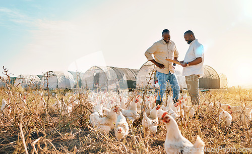 Image of Black people, clipboard and farm with chicken in agriculture together, live stock and outdoor crops. Happy men working together for farming, sustainability and growth in supply chain by countryside