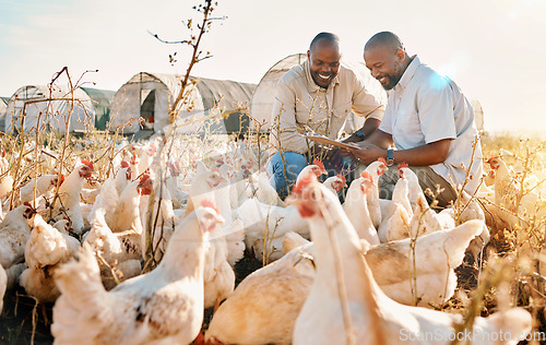 Image of People, agriculture checklist and chicken in sustainability farming, eco friendly or free range industry management. Happy african men with animals health, clipboard and veterinary inspection outdoor