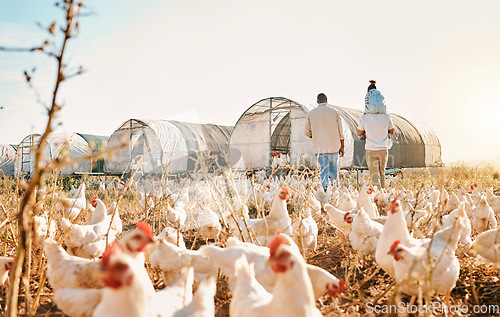 Image of Piggyback, gay couple and chicken with black family on farm for agriculture, environment and bonding. Relax, health and love with men and child farmer on countryside field for eggs, care and animals