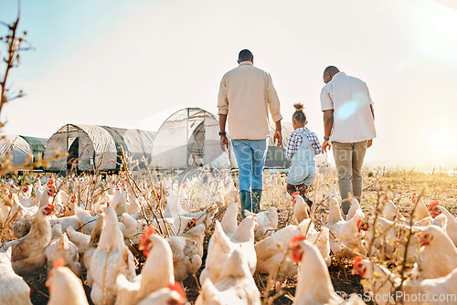 Image of Holding hands, gay couple and chicken with black family on farm for agriculture, environment and bonding. Relax, lgbtq and love with men and child farmer on countryside field for eggs and animals