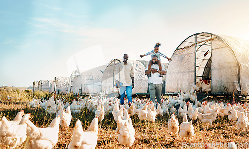 Image of Freedom, gay couple and chicken with black family on farm for agriculture, environment and bonding. Relax, happy and love with men and child farmer on countryside field for eggs, care and animals