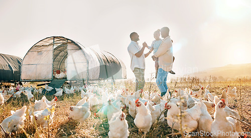 Image of Happy, gay couple and chicken with black family on farm for agriculture, environment and bonding. Relax, lgbtq and love with men and child farmer on countryside field for eggs, care and animals