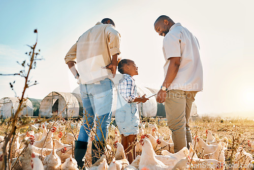 Image of Tablet, gay couple and chicken with black family on farm for agriculture, environment and bonding. Relax, lgbtq and love with men and child farmer on countryside field for eggs, care and animal