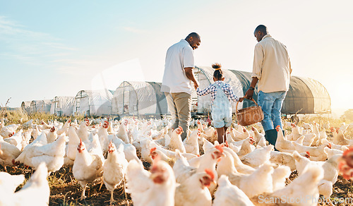 Image of Happy, gay couple and holding hands with black family on chicken farm for agriculture, environment and bonding. Relax, lgbtq and love with men and child on countryside field for eggs, care or animals