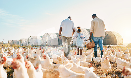 Image of Happy, holding hands and chicken with black family on farm for agriculture, environment and bonding. Relax, lgbtq and love with men and child farmer on countryside field for eggs, care and animals