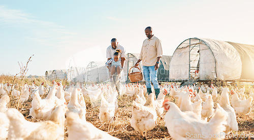 Image of Agriculture, gay couple and chicken with black family on farm for happy, environment and bonding. Relax, lgbtq and love with men and child farmer on countryside field for eggs, care and animals