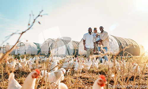 Image of Portrait, gay couple and chicken with black family on farm for agriculture, environment and bonding. Relax, happy and love with men and child farmer on countryside field for eggs, care and animals