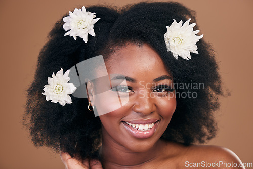 Image of Afro, hair care or portrait of black woman with flowers, beauty or smile on a brown studio background. Hairstyle, floral or happy African model with shine and volume with aesthetic, wellness or glow