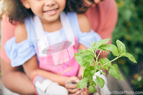 Image of Gardening, hands of dad and child with plants in backyard, teaching and learning with growth in nature. Smile, sustainability and father helping girl in vegetable garden with love, support and fun.