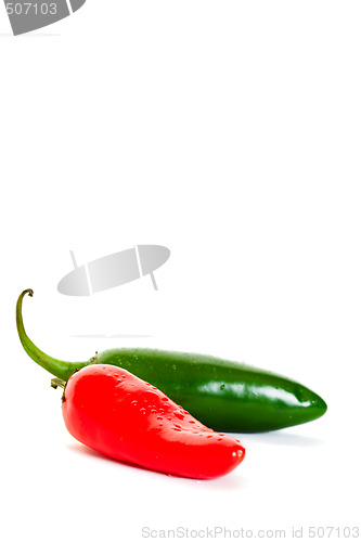 Image of Fresh Peppers